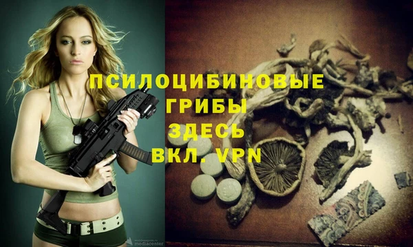 первитин Беломорск