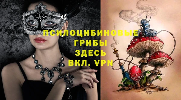 2c-b Белокуриха