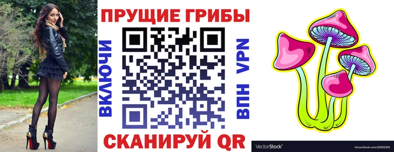 дарк нет как зайти  Михайлов  Галлюциногенные грибы GOLDEN TEACHER 